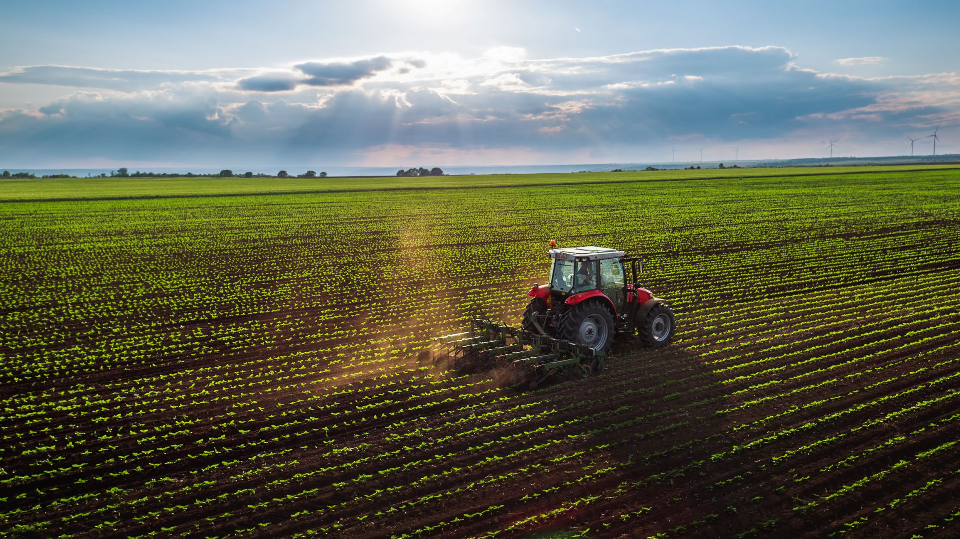 Consulenza per aziende agricole