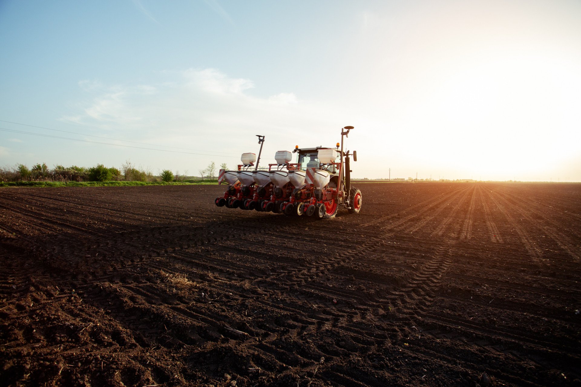 Consulenza per aziende agricole